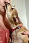 Peanut nka Tito