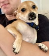 Peanut nka Tito