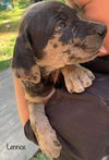 Lennox