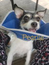 Pearlie now Hallie