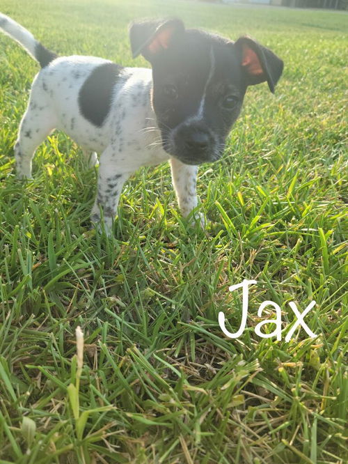 Jax now Walter