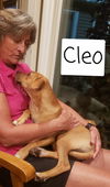 Cleo