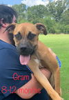 Gram