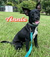 Annie