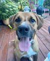 Gunner