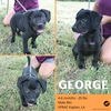 George