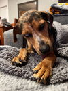 Jax