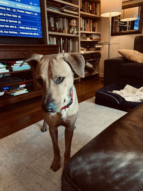 Baxter