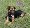 Mia