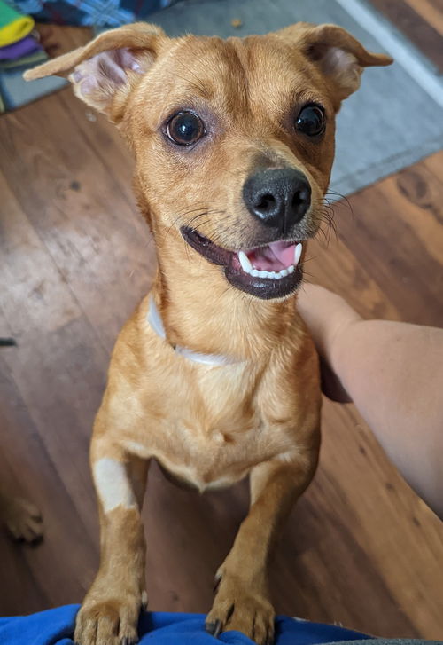 Coco