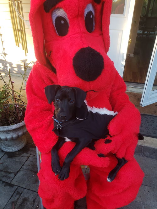 Max