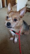 Jaxx - No More Applications Please!