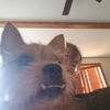 Jaxx - No More Applications Please!