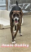 Annie Oakley - Outlaw looking for love!