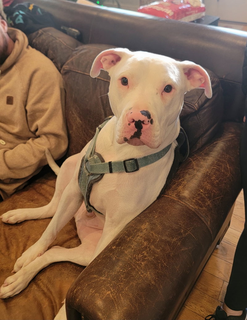 Buddy aka Buddha/Butters