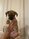 Audrey now Chloe