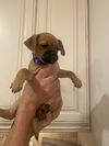 Margot now Penny