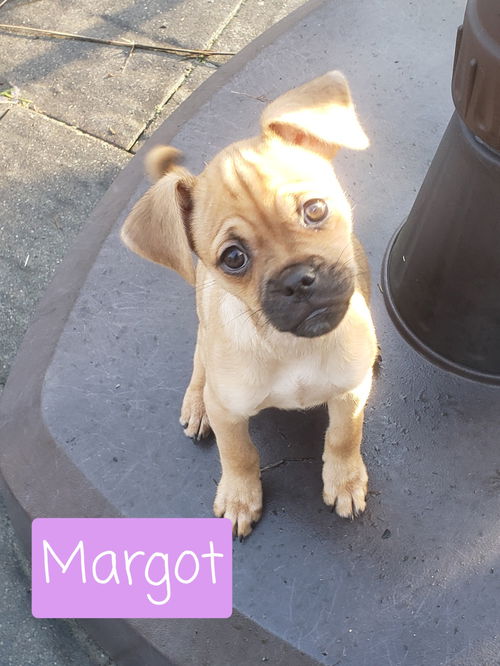 Margot now Penny