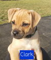 Clark