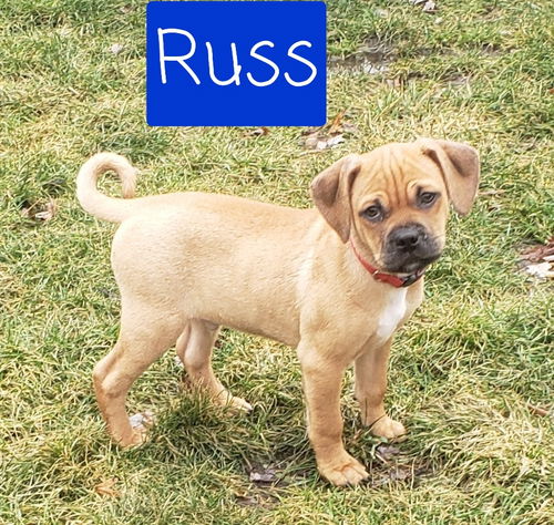 Russ now Milo
