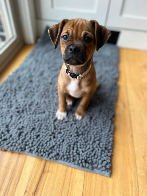 Ruby Sue nka Monroe