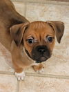 Ruby Sue nka Monroe
