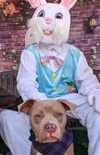 Scooby