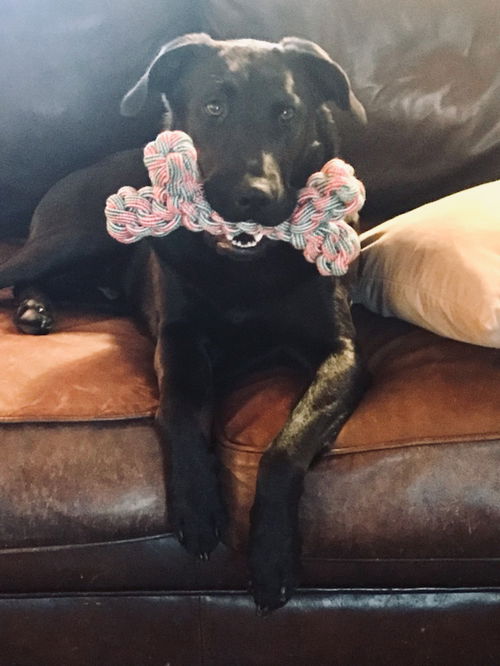 Jett - No more applicatons please!