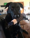 Jett - No more applicatons please!