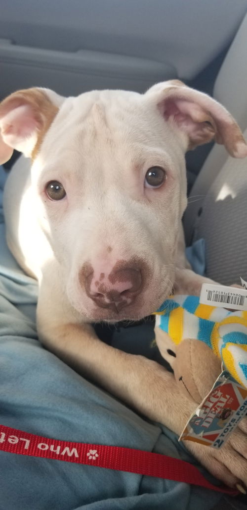 Oliver