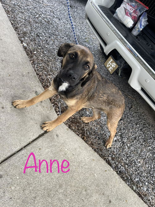 Anne