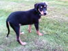 Molly