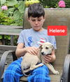 Helene - now Olive