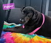 Pepper