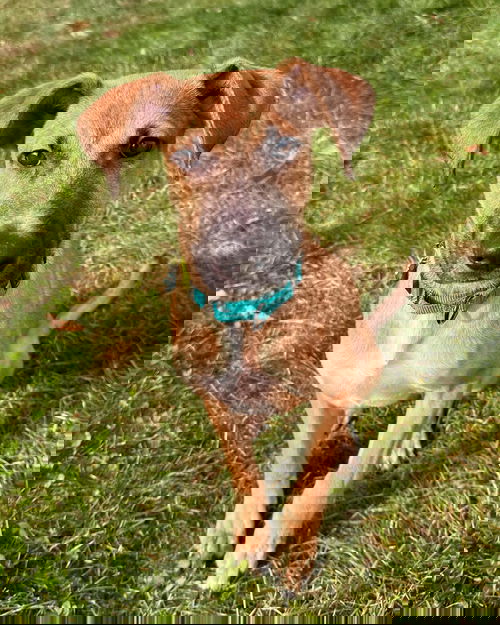 Jax