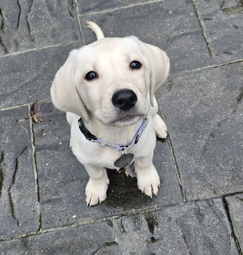 Sally now Tilly