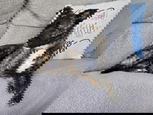 Wiggly