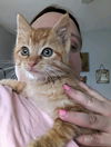 FINLEY (nka LUFFY)