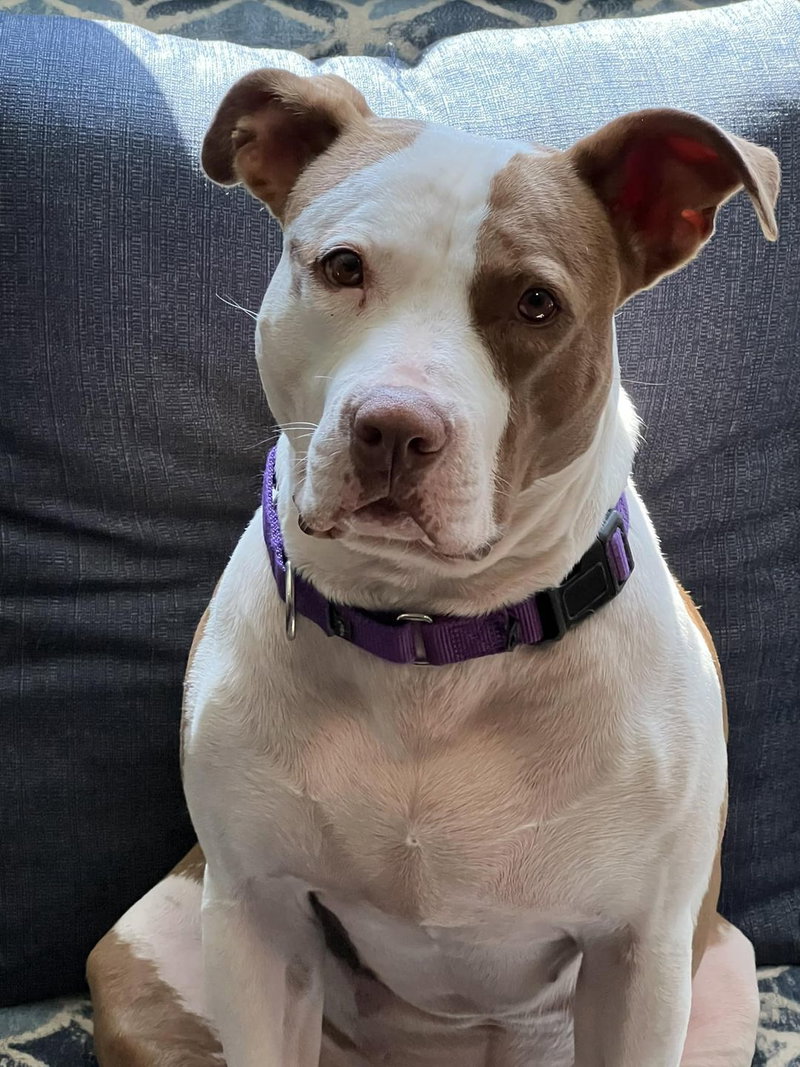 Tia – Totally Terrific!