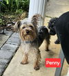 Penny now Stefina