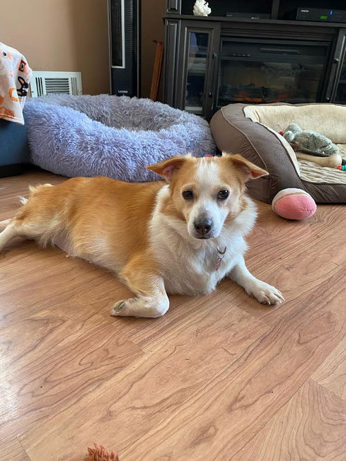 Fiona