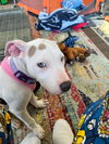 Pearl now Winnie