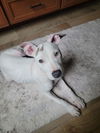 Pearl now Winnie