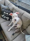 Pearl now Winnie