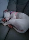Pearl now Winnie