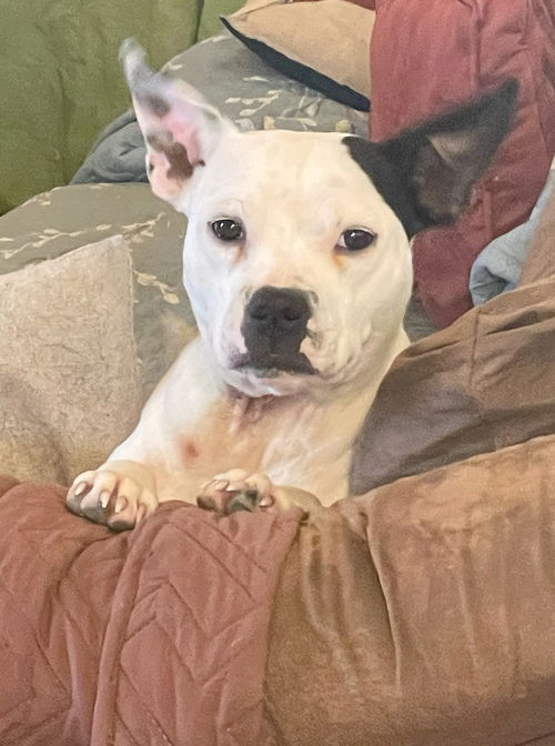 Sally