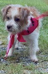 Carly
