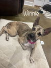 Winnie - Wonderful gal!