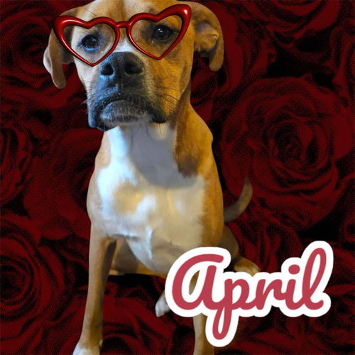 April