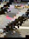 Blip - Beautiful Blip!!
